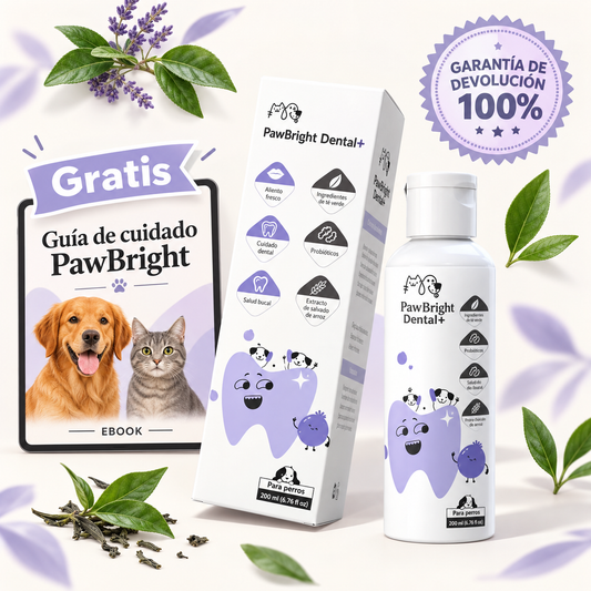 Pawbright dental+